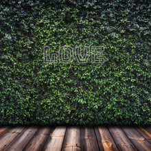 Lade das Bild in den Galerie-Viewer, "Love" Neonschild